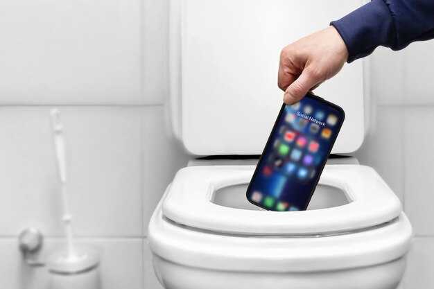 Механизмы смыва: от традиционных до современных