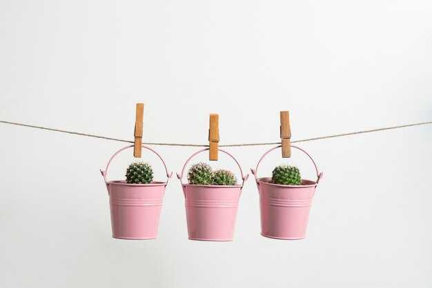 Краткий обзор подходящих горшков