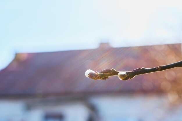 Использование тепловизоров для выявления утечек